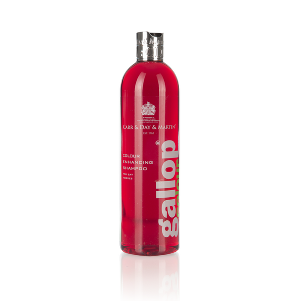 Carr Day and Martin Gallop Colour Enhancing Shampoo for Bay